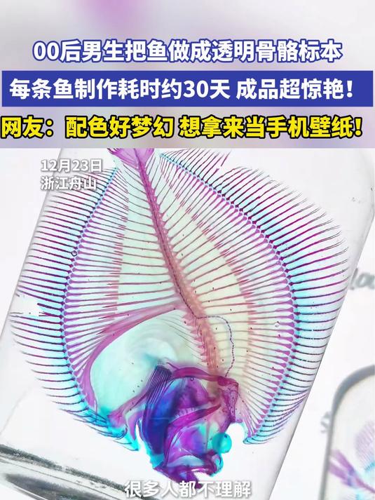 00后男生把鱼做成透明骨骼标本 每条鱼制作耗时约30天 成品超惊艳