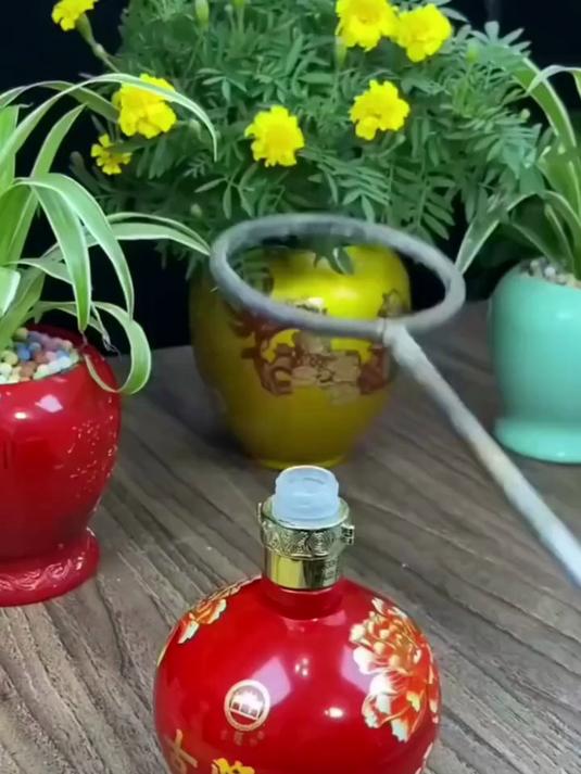 铁圈烫酒瓶子做花盆鱼缸!废物利用!陶瓷变花瓶手工DIY制作工具
