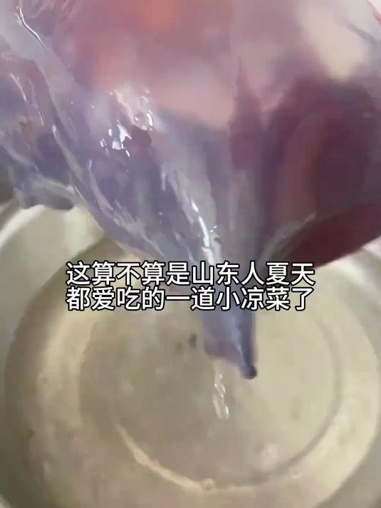 你不是山东人,怎么能知道喝一碗凉凉的海蜇汤是有多么爽