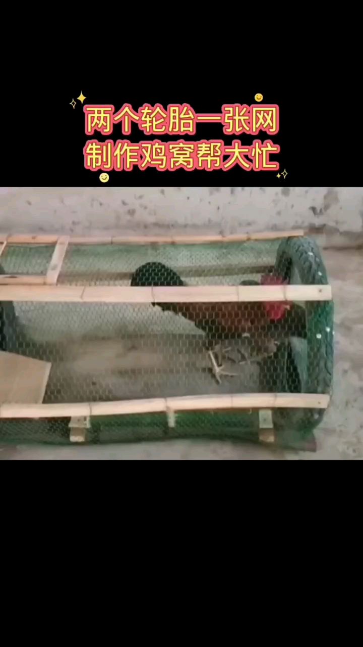 两个轮胎一张网制作鸡窝帮大忙