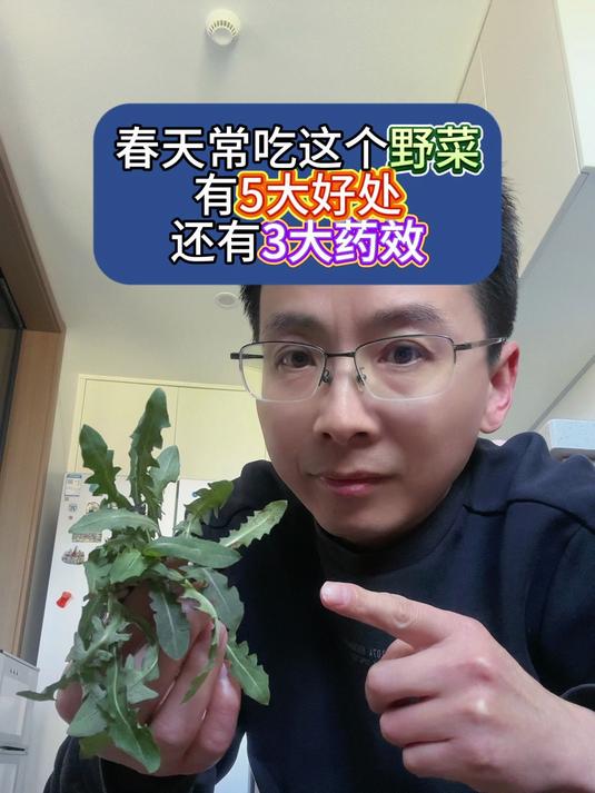 春天常吃这个野菜,有5大好处,还有3大药效!
