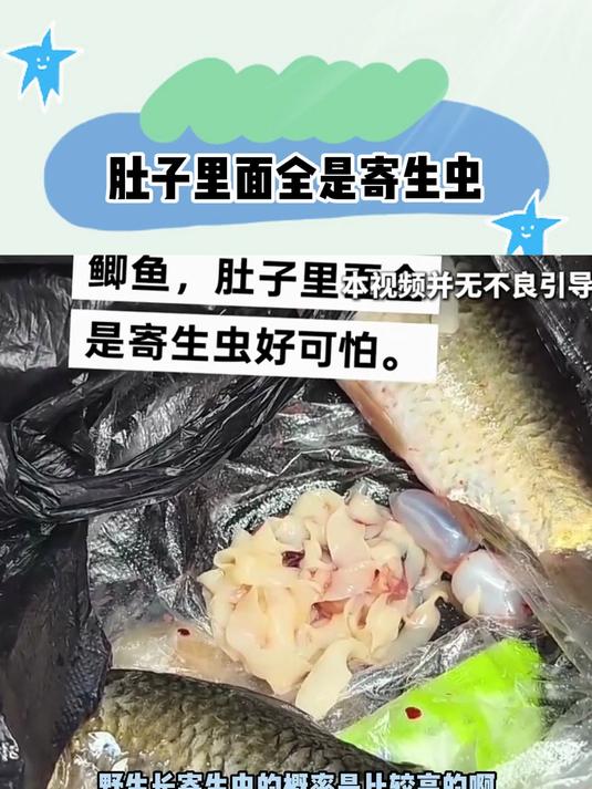野生长寄生虫的概率是比较高的啊