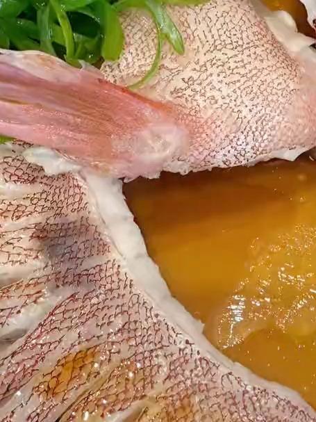 清蒸东星斑 又好看又好吃的菜 兄弟姐妹你们点菜别老整这老贵的 钱包都开线了