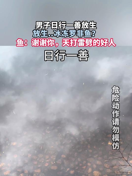 男子日行一善放生,放生……冰冻罗非鱼?鱼:谢谢你天打雷劈的好人