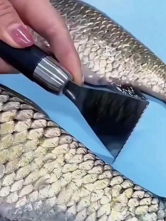 想吃到新鲜的鱼，就用这个刮鱼鳞神器，不锈钢强劲刮鳞