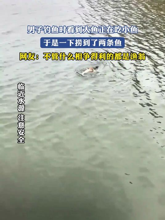 男子钓鱼时看到大鱼正在吃小鱼,于是一下捞到了两条鱼,网友:不管什么相争得利的都是渔翁