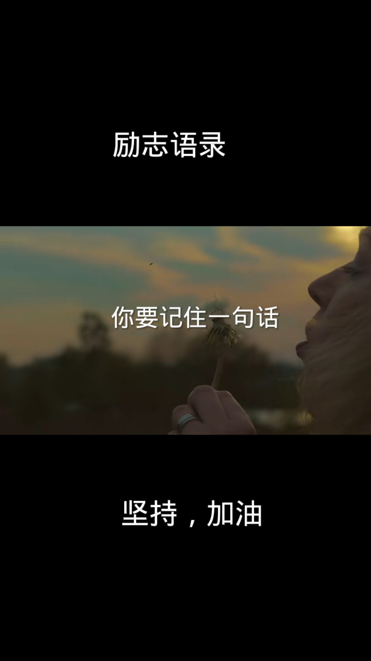 #励志语录,