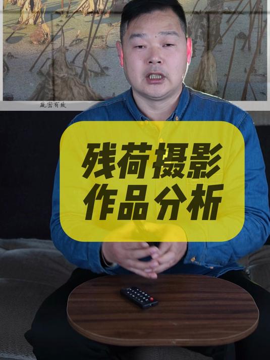 残荷摄影作品分析点评