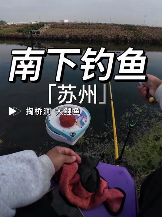 从河北开车1000公里奔赴苏州钓鱼！刚摆脱空军就被大鱼切线#钓鱼#