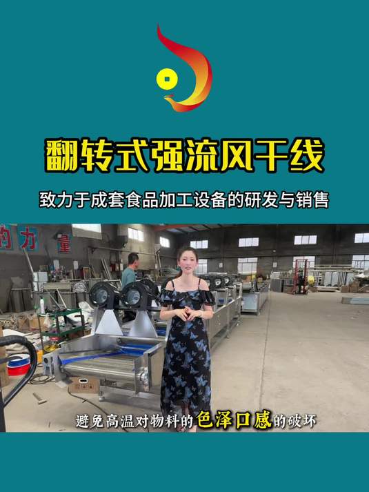 全自动化翻转式强流风干流水线 包装袋翻转风干机