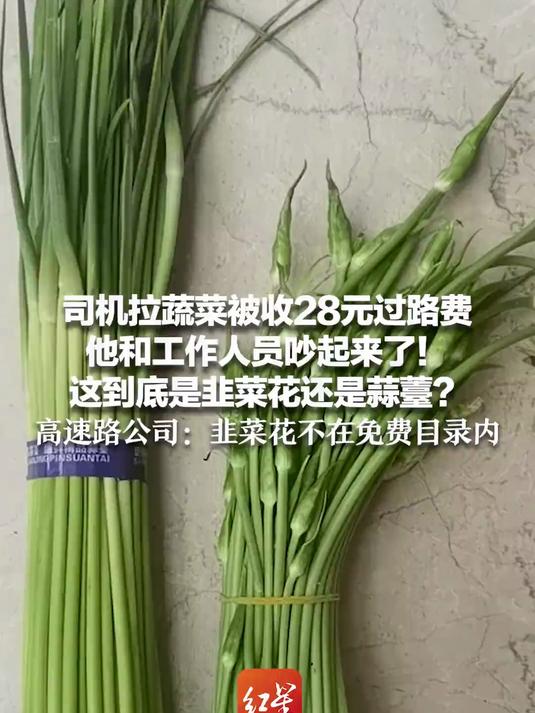 司机拉蔬菜被收28元过路费 他和工作人员吵起来了!这到底是韭菜花还是蒜薹?高速路公司:韭菜