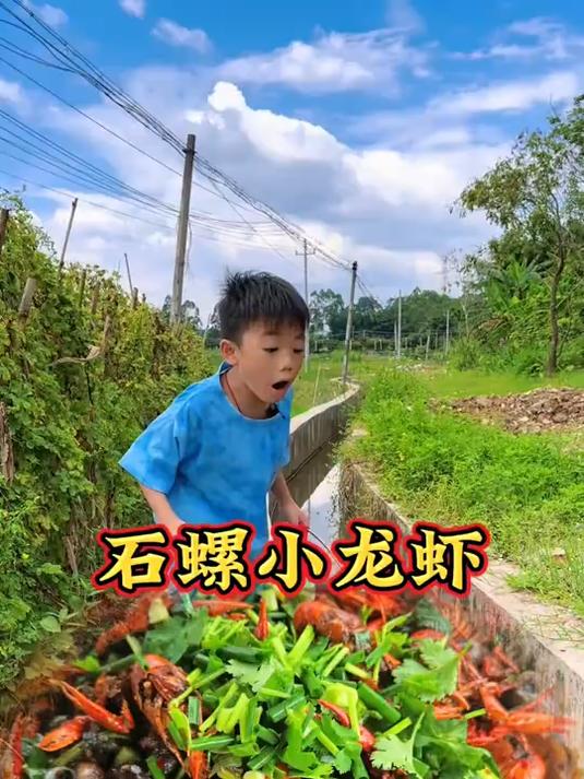 小东同学在乡村小溪捡到的石螺小龙虾