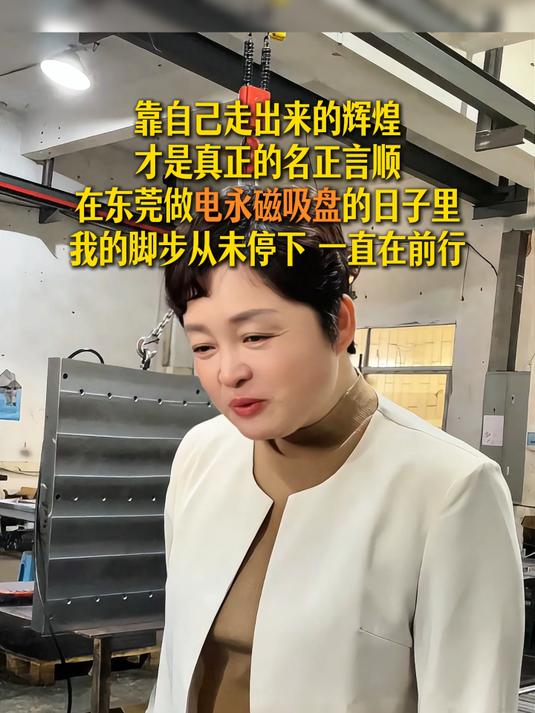 电永磁吸盘厂家 #电永磁吸盘#