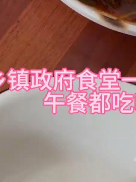 看看今天乡镇政府食堂3块5一顿的午餐吃啥