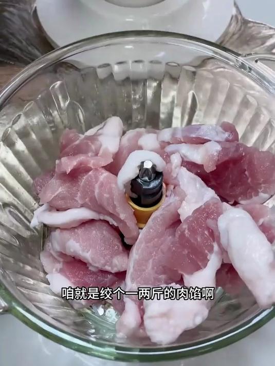 「悬浮刀头」苏泊尔绞肉机家用多功能电动绞肉馅碎肉辅食料理机