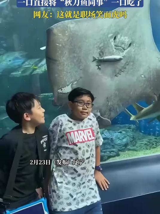 水族馆魔鬼鱼上演吃“同事”大戏,将“秋刀鱼同事”一口吃了