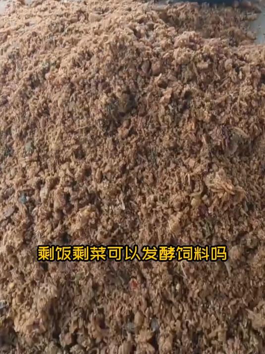 剩饭剩菜能不能做饲料喂猪和鸡?剩饭剩菜可以做喂猪和鸡的饲料,用食堂或者饭店的剩饭剩菜做饲料