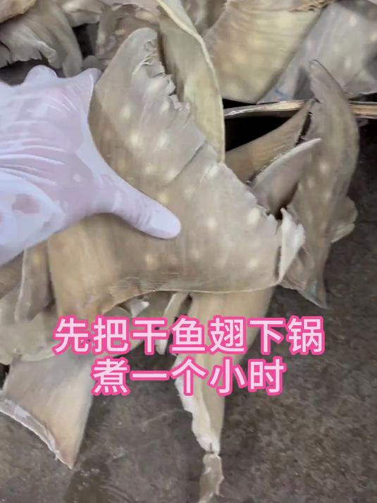 鱼翅泡发#美食##鲍参翅肚#