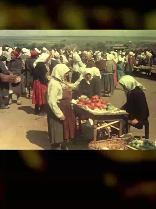 《1952年苏联菜市场老照片》:穿梭在人群中的老人,感受时光沉淀