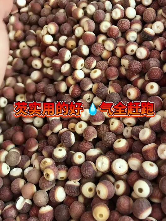 新采的鸡头米来了,很多人都吃但还不认识,颗颗饱满