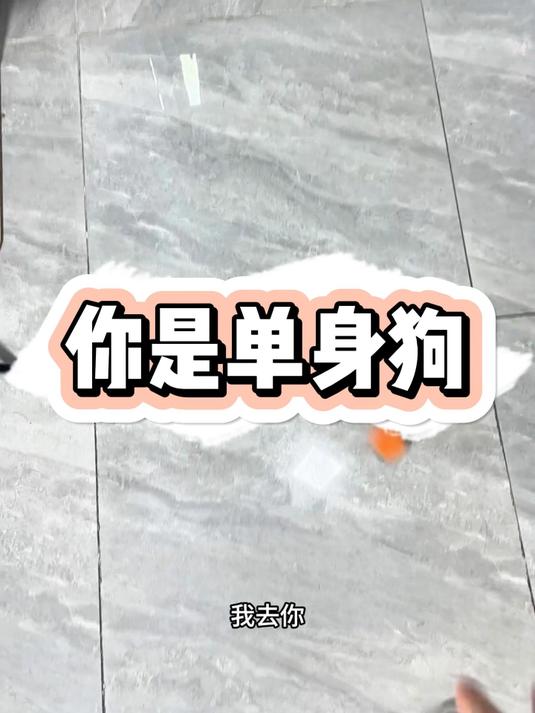 单身狗它是也狗啊