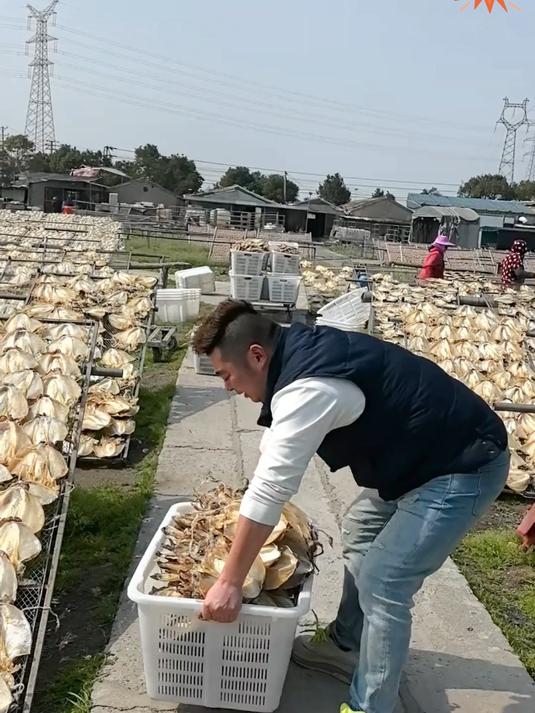 今年突然火了“墨鱼干”又叫“目鱼干”一斤能顶3只老母鸡!
