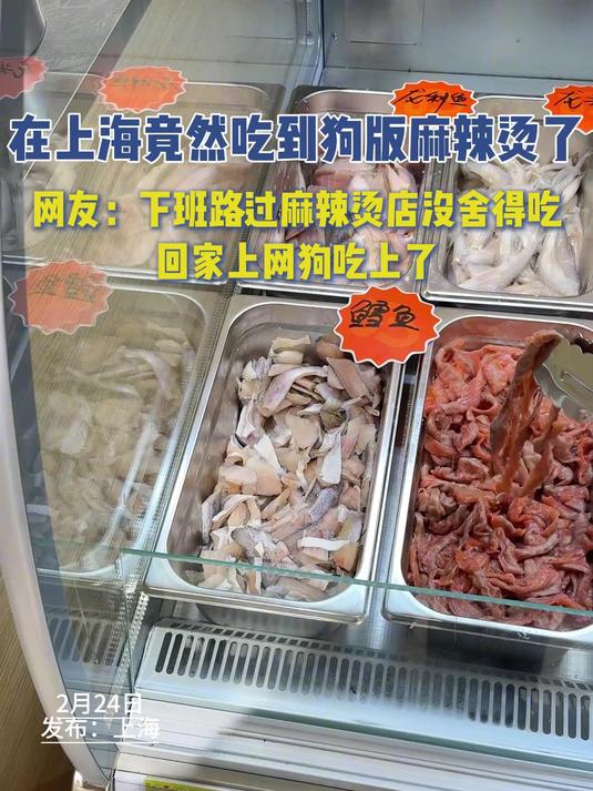 在上海竟然吃到狗版麻辣烫,下班路过麻辣烫店没舍得吃,狗吃上了