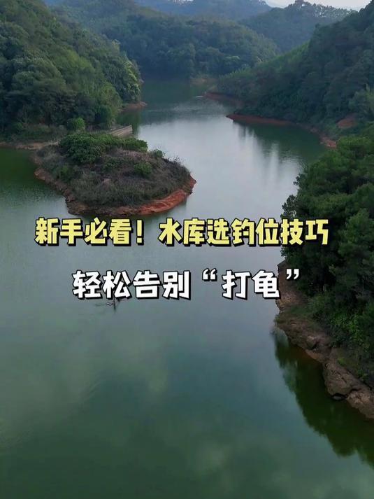 新手必看!水库选钓位技巧,轻松告别“打龟”