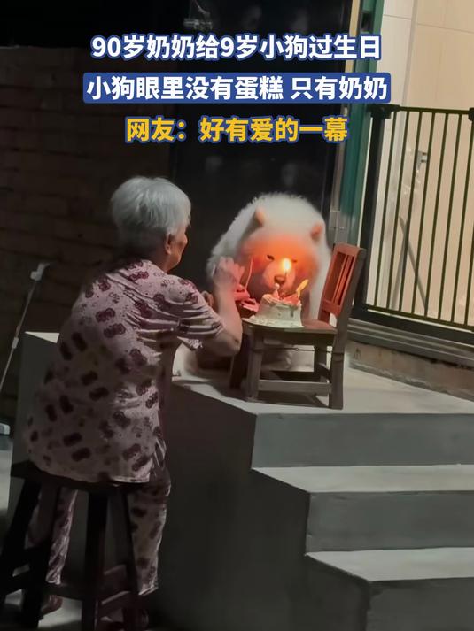 90岁奶奶给9岁小狗过生日，小狗眼里没有蛋糕 只有奶奶