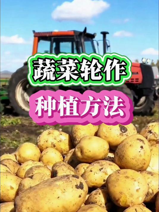 你知道蔬菜怎样轮种才高产吗