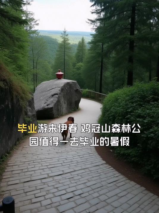 鸡冠山森林公园值得一去,暑期游来伊春