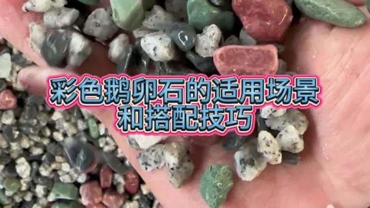 彩色鹅卵石 水洗石