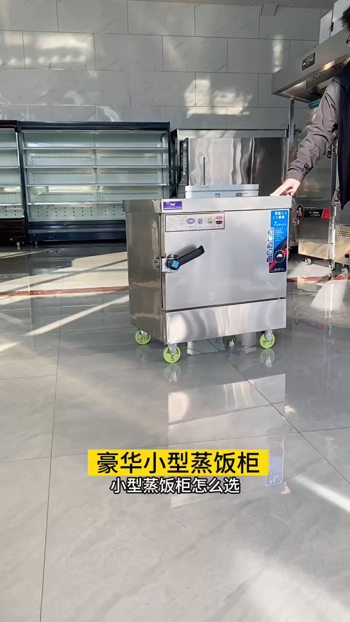 豪华小型蒸饭柜