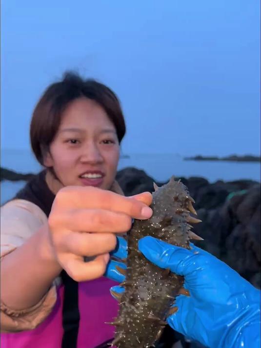 半夜出发赶海 从天黑赶到天亮 八爪鱼 海参 海盘捡到手软