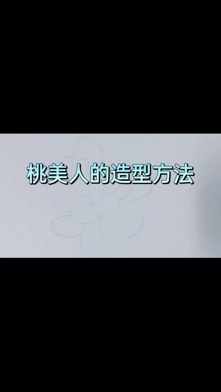 怎么准确画出多肉植物桃美人的线稿
