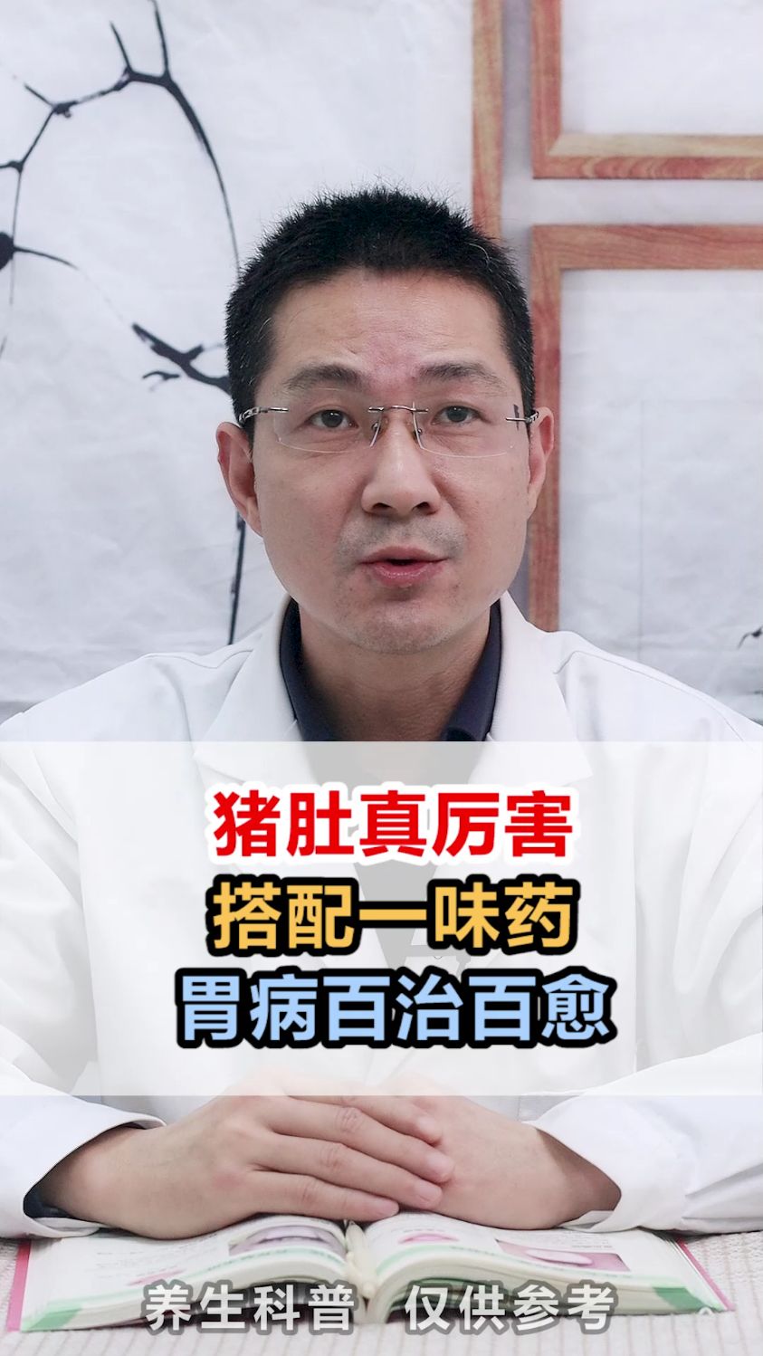猪肚真厉害,搭配一味药,胃病百治百愈