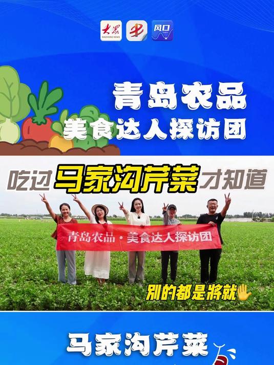 吃过马家沟芹菜才知道，别的都是将就 青岛农品美食达人探访团 马家沟芹菜 乡村振兴
