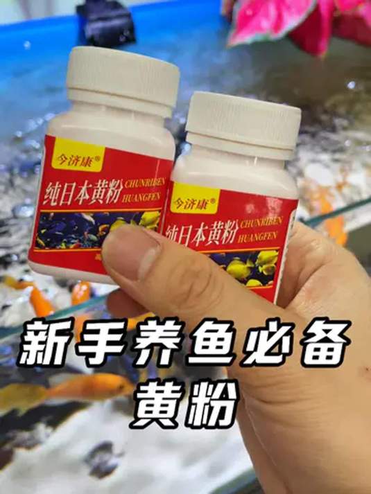 黄粉养鱼必备 解决多种鱼病 守护鱼儿健康