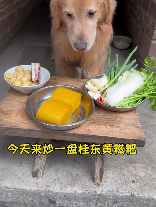 炒桂东黄糍粑太好吃了 每到过年不管多远都要回到自己的家乡