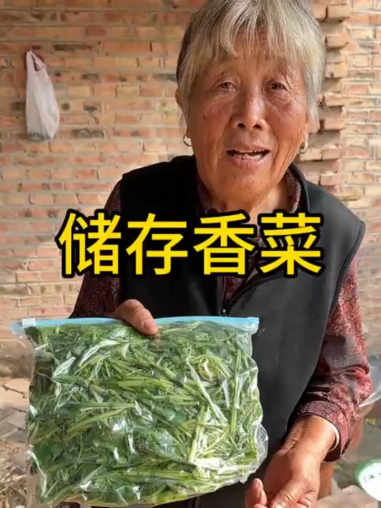 吃不完的香菜这样保存,放一年也是翠绿新鲜,一点也不变味