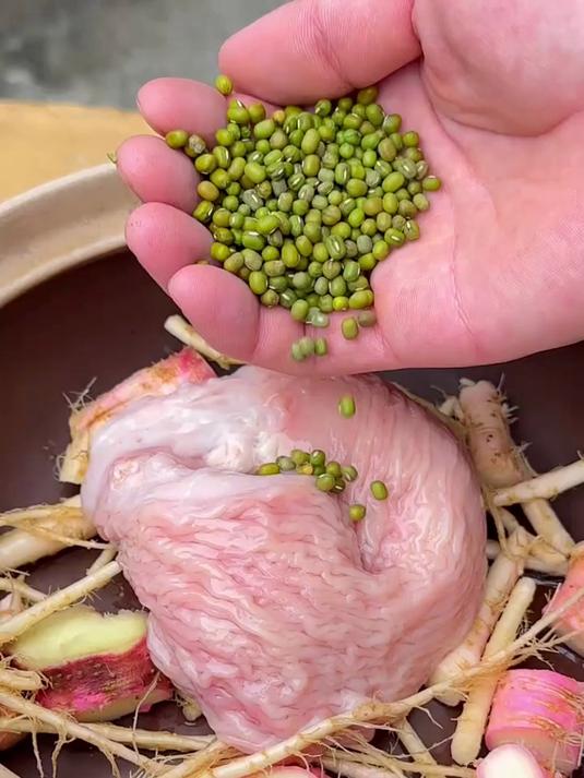 野刺苋又叫刺苋菜很多人摘它的嫩茎叶当野菜,却把它的根给忽略了
