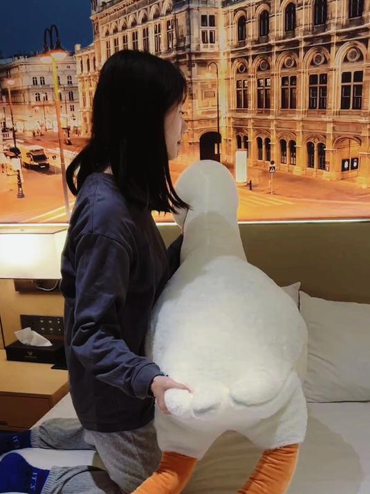 这样的大白鹅抱着睡觉真是舒服,来一个放在家里吧!