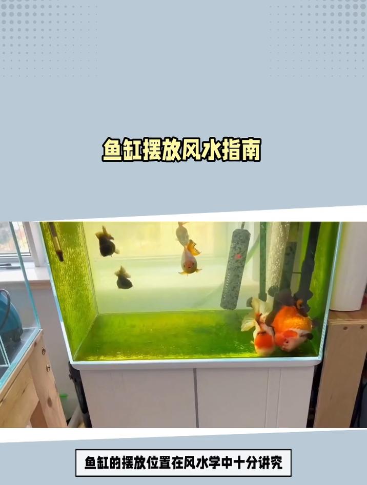 鱼缸放在家里哪个位置风水最好?