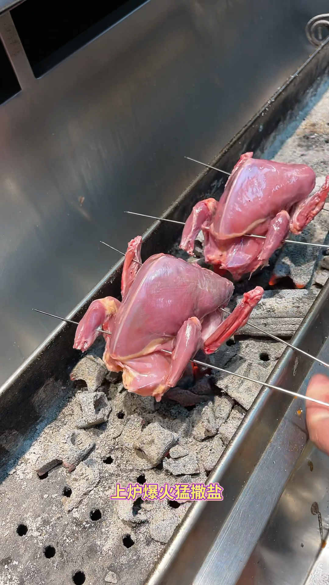 烧烤教程烤鸽子