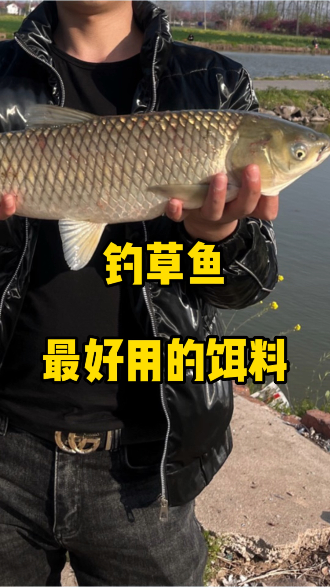 钓草鱼最好用的免费饵料