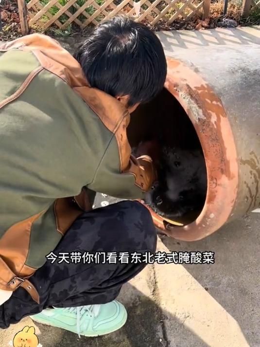 腌酸菜不烂的秘密!就这个腌酸菜袋子,家家必备神器