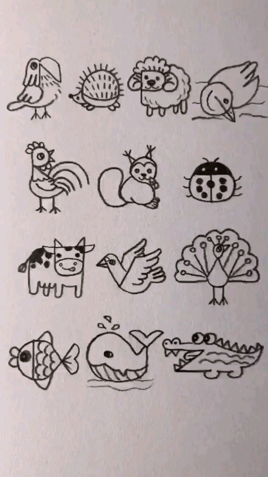 彩色铅笔画:画几只可爱的小动物