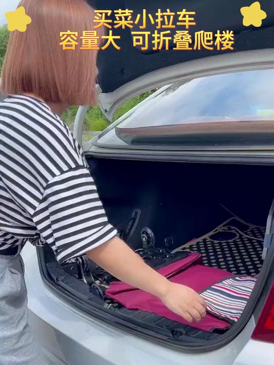 告别手提负重,买菜小拉车,轻松省力逛菜场