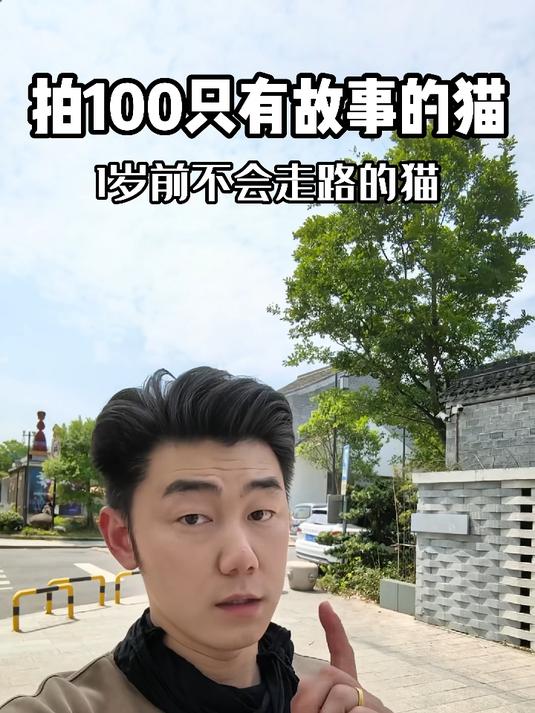 1岁还不会走路的猫