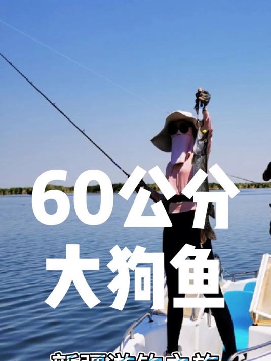 你钓过最大的狗鱼有多长?